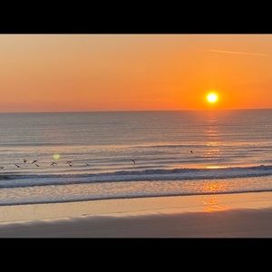 Meet your Posher, Bridget